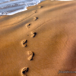 pegadas_na_areia-1